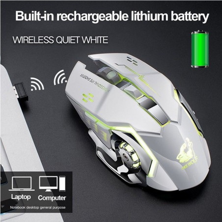 Wireless optical gaming mouse - rechargeable - silent - LED backlit - ergonomicMouses