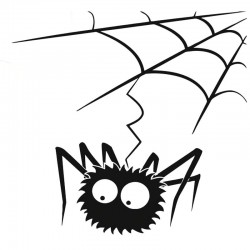 Spider web con un ragno - adesivo auto vinile