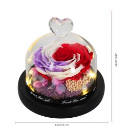 Rose éternelle préservée - boîte en verre avec lumière - Saint Valentin / cadeau de mariage
