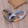 Buckle keychain - snap clip - hiking - outdoor camping