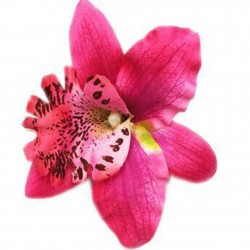 Fashionable hair clip - handmade - flower orchidHair clips