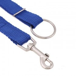 Dog training - lead pull correctionCollars & Leads