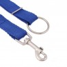Dog training - lead pull correctionCollars & Leads