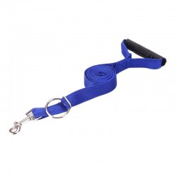 Dog training - lead pull correctionCollars & Leads