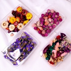 Fiori secchi - decorazione per la fabbricazione di candele / artigianato in resina