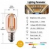 Vintage LED bulb - Edison tubular - T22 - E12 - E14 - 1W - dimmable - 2200K gold