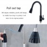 Kitchen faucet - pull-out head nozzle - rotatable - stainless steel