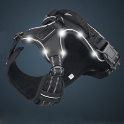 Dog's harness - with LED - adjustable - reflective - waterproofCollars & Leads