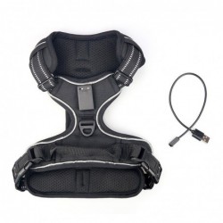 Dog's harness - with LED - adjustable - reflective - waterproofCollars & Leads