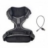 Dog's harness - with LED - adjustable - reflective - waterproofCollars & Leads