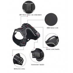 Dog's harness - with LED - adjustable - reflective - waterproofCollars & Leads