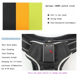 Dog's harness - with LED - adjustable - reflective - waterproofCollars & Leads