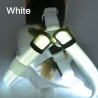 Harnais pour chien - LED - feux clignotants / incandescents - sécurité nocturne