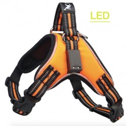 Harnais pour chien - LED - feux clignotants / réfléchissants - marche nocturne de sécurité - étanche