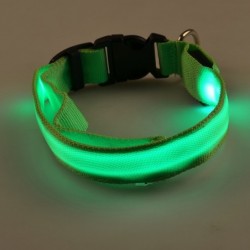 LED dog collar - luminous / flashing - safety night walk