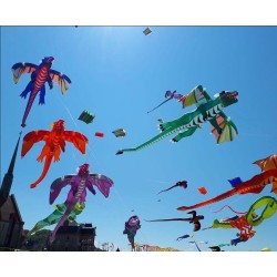 3D flying dragon - kite - 6.5m