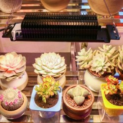 LED plant grow light - full spectrum - fito-lamp - 465 LED - 300W - 4 pieces