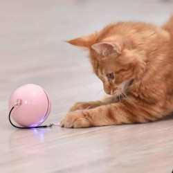 Jouet interactif pour chiens/chats - balle avec lumière/son/plume - USB