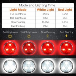 Pet collar light - LED - safety - night walkingCollar & Leads