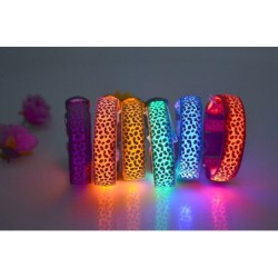 Collier LED pour chien - promenade nocturne de sécurité - imprimé léopard coloré