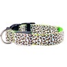 Collier LED pour chien - promenade nocturne de sécurité - imprimé léopard coloré