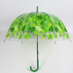 Ombrello colorato trasparente - manico lungo - foglie d'acero