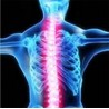 Cintura ortopedica supporto schiena - correzione postura - correttore schiena con magneti