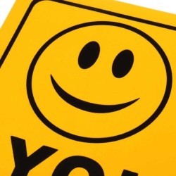 Vinyl warning sticker - Smile You're On CameraSecurity cameras