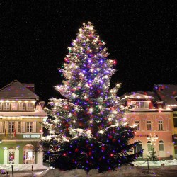 LED starry sky projector - rotatable - IP65 waterproofStage & events lighting