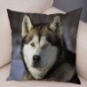 Fodera per cuscino decorativo - Cane husky siberiano - 45 * 45 cm