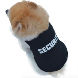 SECURITY - gilet pour chien