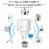 16A - WiFi - Prise intelligente - Prise avec moniteur d'énergie électrique - Assistant Alexa / Google