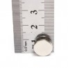 N35 - magnete al neodimio - disco forte - 12mm * 5mm - 10 pezzi