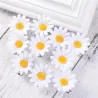 Decorative hair clips - white daisies - 10 piecesHair clips