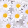 Decorative hair clips - white daisies - 10 piecesHair clips