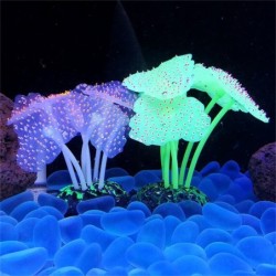 Anemone di mare luminoso - decorazione dell'acquario