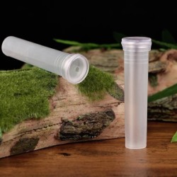 Tubes en plastique transparent - mini porte-fleurs - réservoir d'eau - 50 pièces