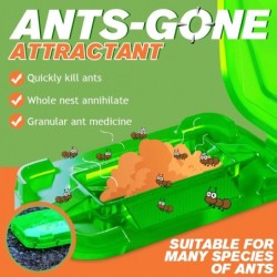 Esca anti formiche: polvere mortale