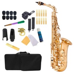 Saxophone professionnel - clé Mib Alto - avec étui / accessoires