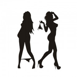 Sexy woman in underwear sticker black / silverStickers