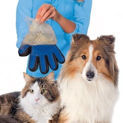 Nettoyage pour chien / brosse de massage - gant d'épilation