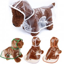 Pluie de chien - transparent