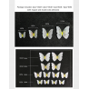 papillon 3D - sticker mural avec aimant 12 pièces